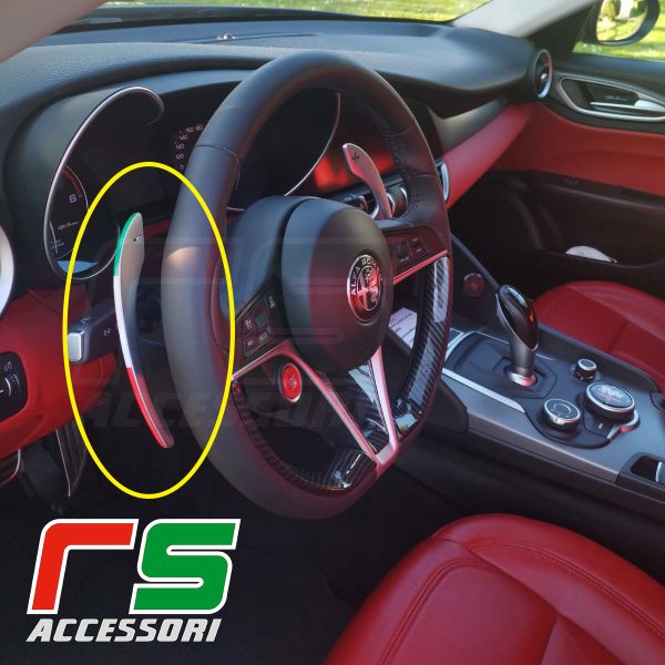 Alfa Romeo Giulia RESIN stickers paddle change