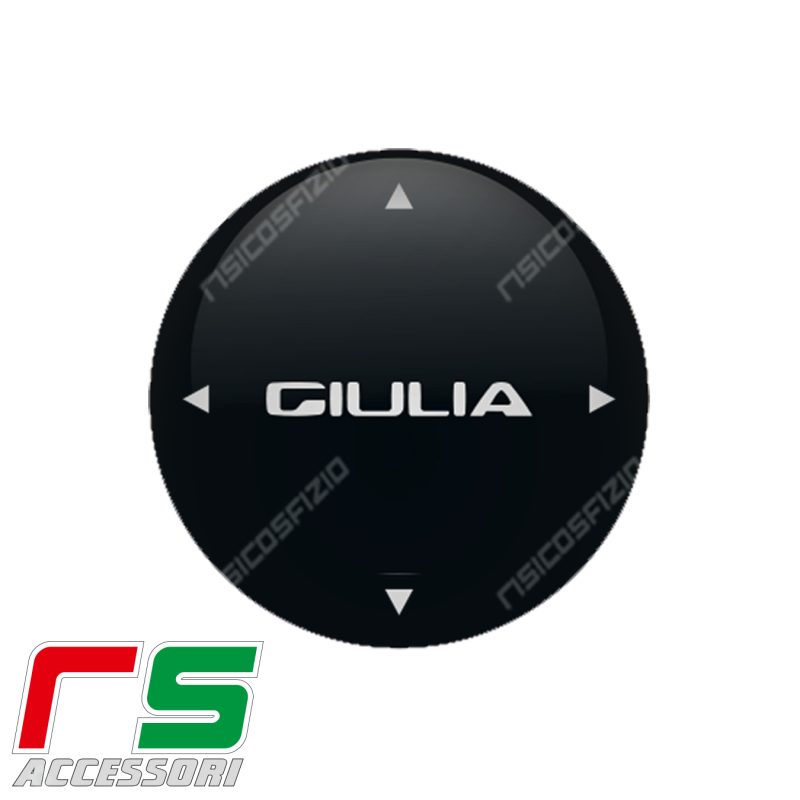 Alfa Romeo Giulia RESIN Aufkleber Tunnelwähler – Bild 14